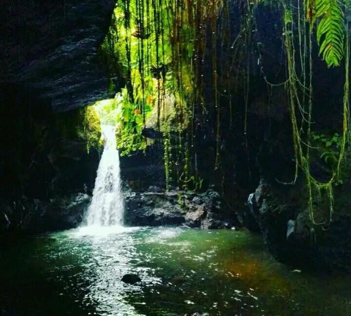 Asan Rinjani Homestay Tetebatu Exteriör bild