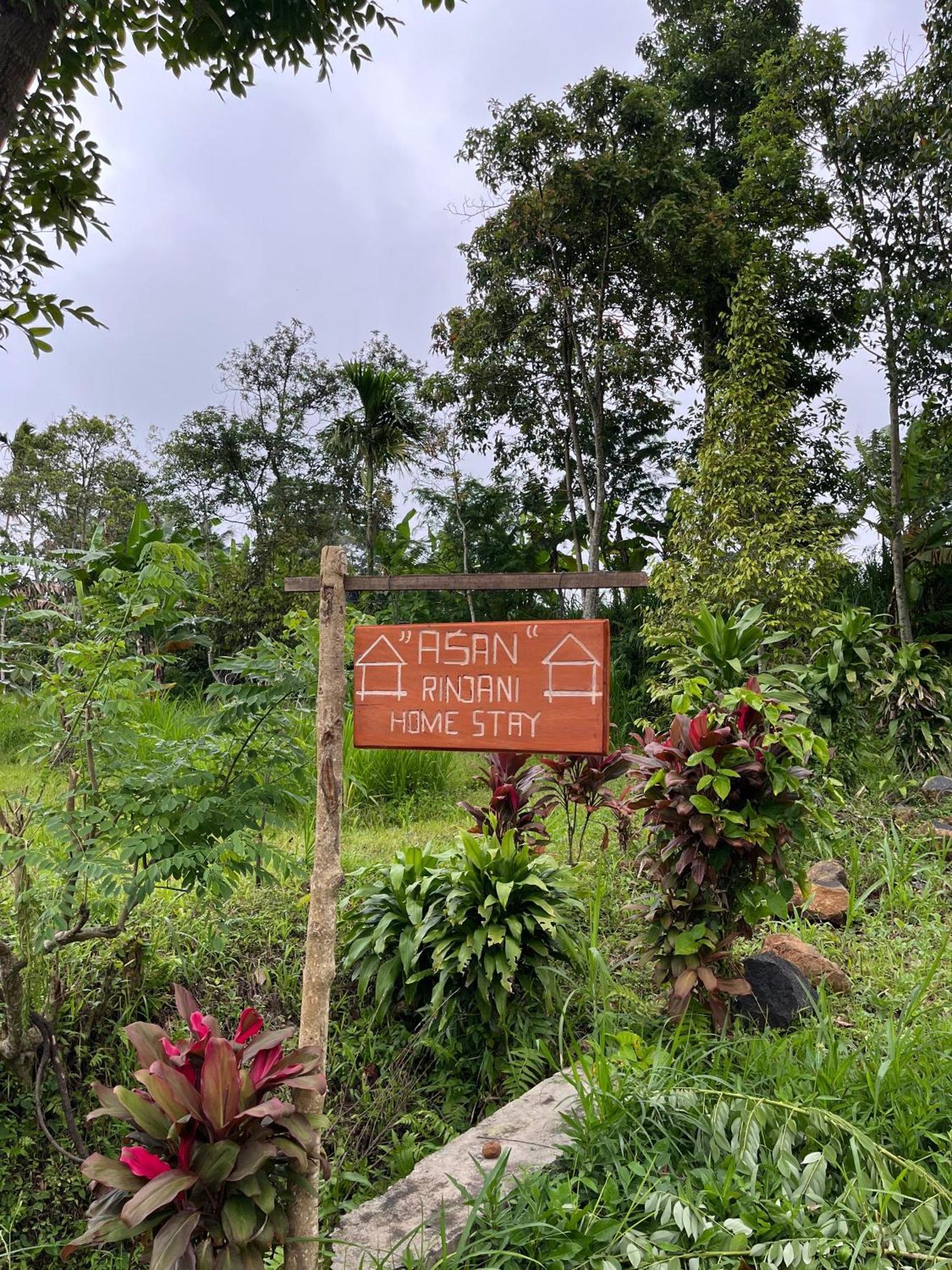Asan Rinjani Homestay Tetebatu Exteriör bild