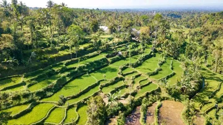 Asan Rinjani Homestay Tetebatu Exteriör bild