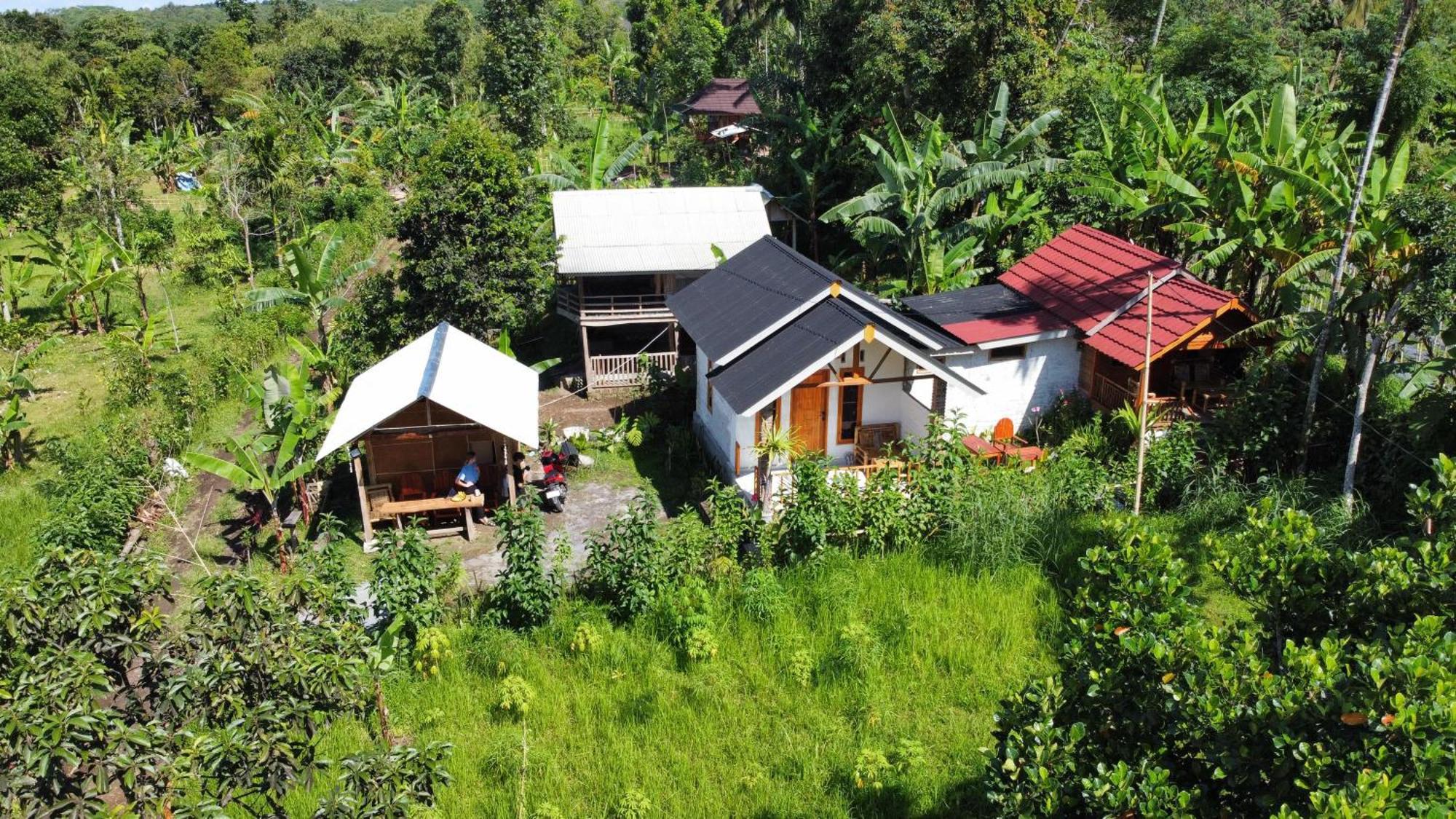 Asan Rinjani Homestay Tetebatu Rum bild
