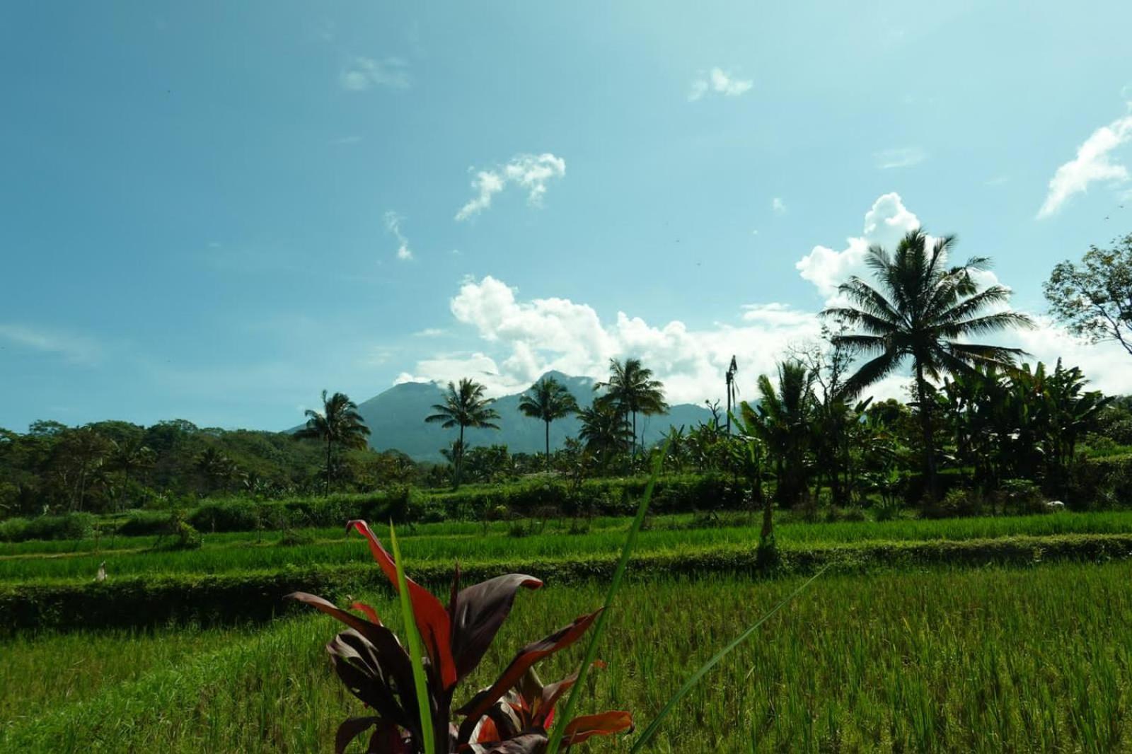 Asan Rinjani Homestay Tetebatu Exteriör bild